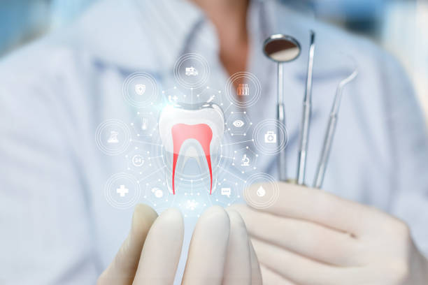 Trusted Terryville, CT Dental Services Experts